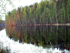 Spiegelung im See