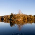 Spiegelung im See