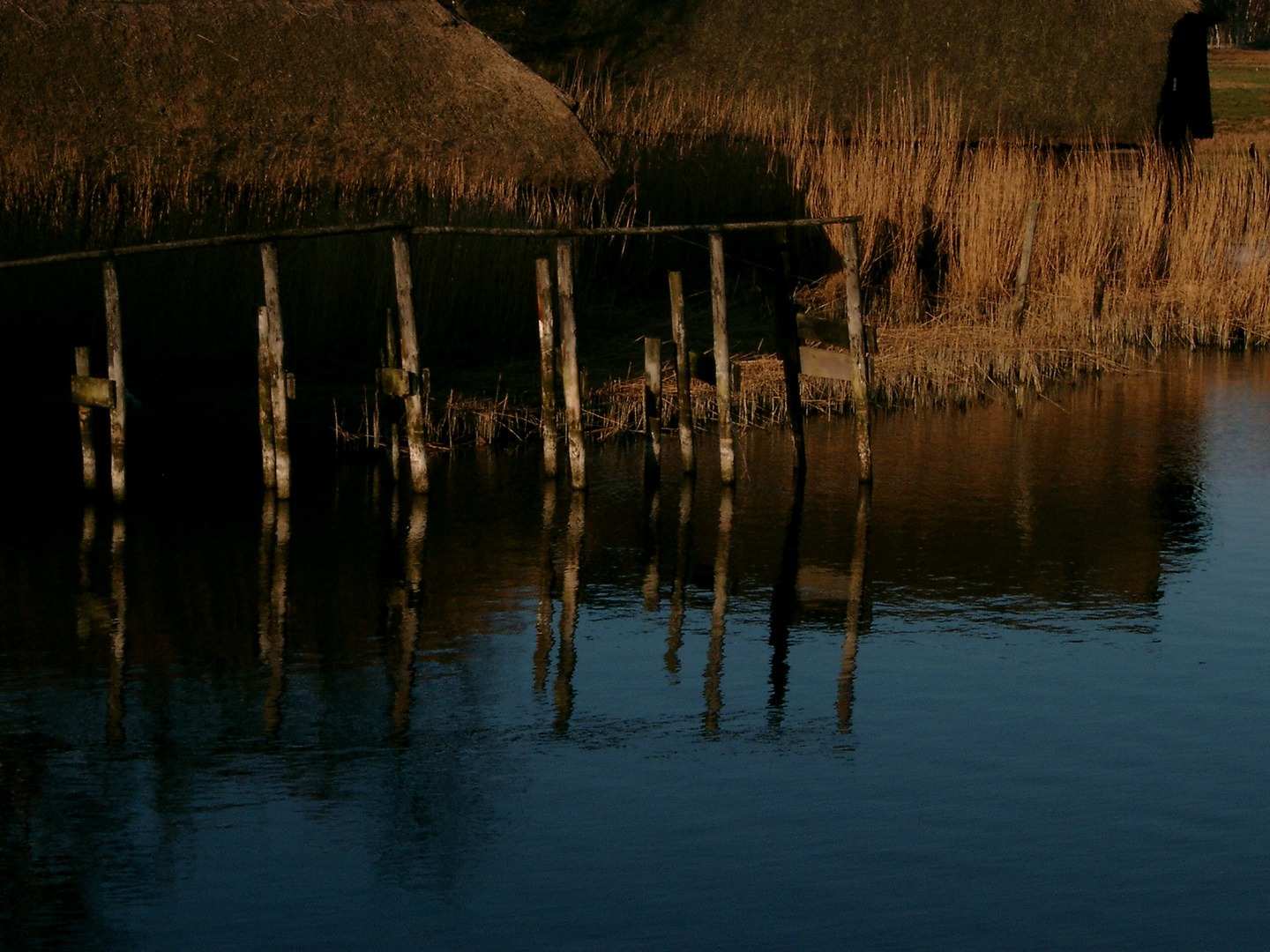 Spiegelung im See