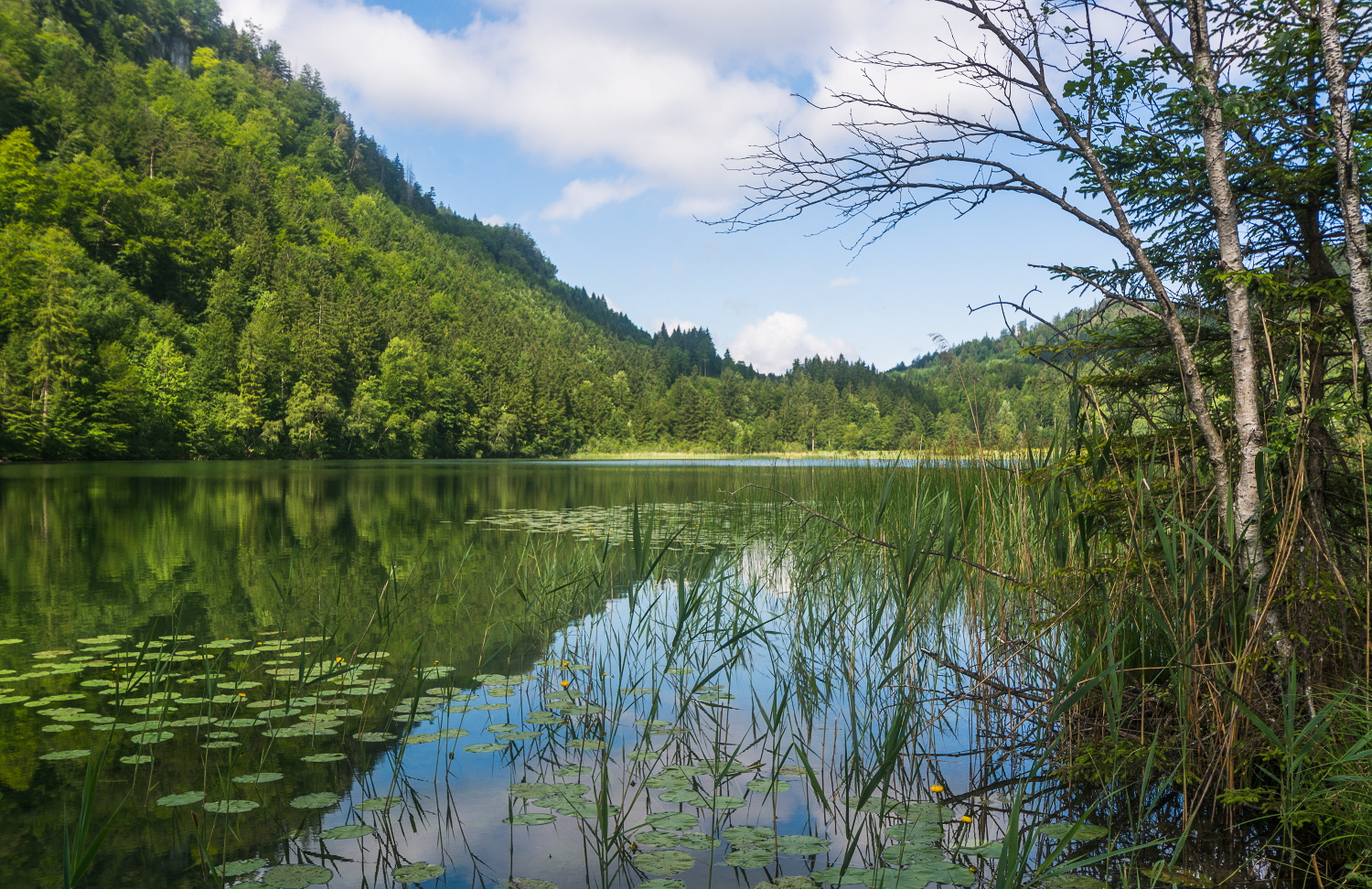 Spiegelung im See