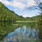 Spiegelung im See