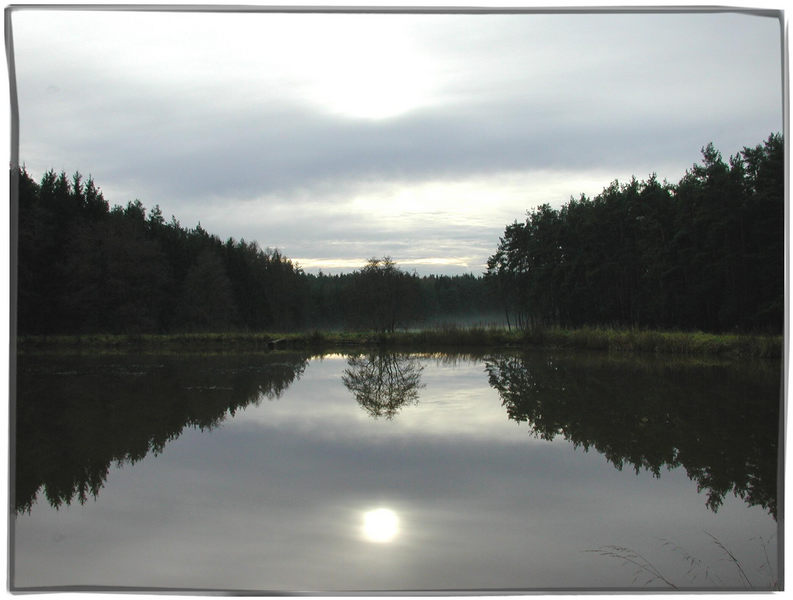 Spiegelung im See