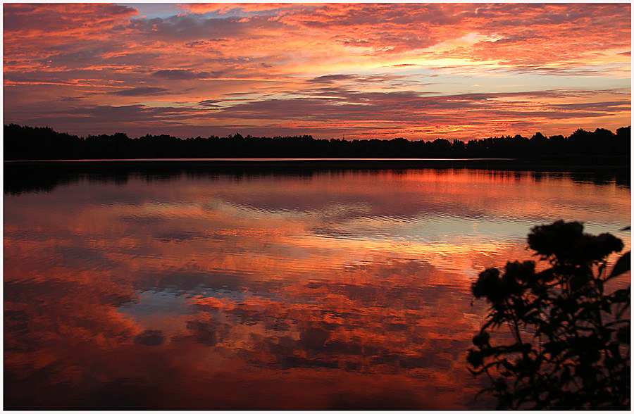 Spiegelung im See