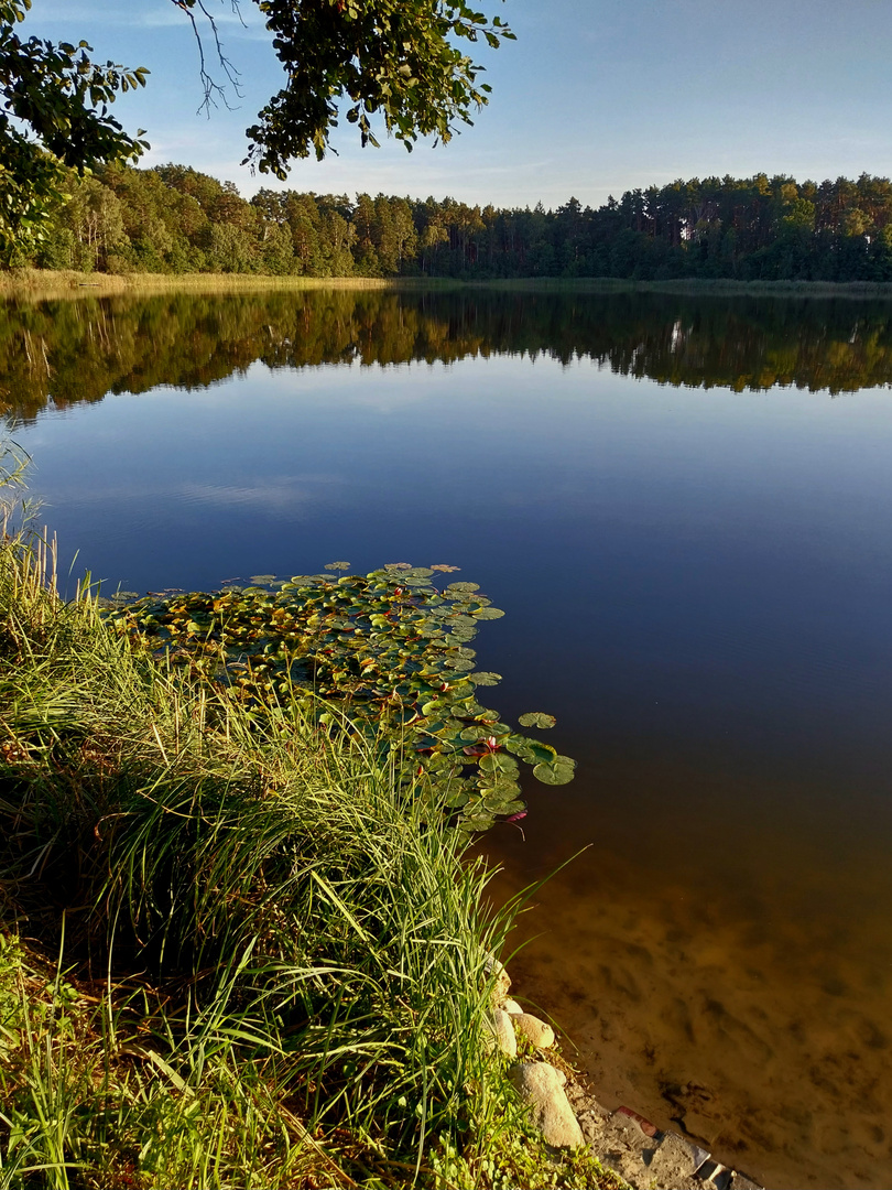 Spiegelung im See