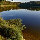 Spiegelung im See