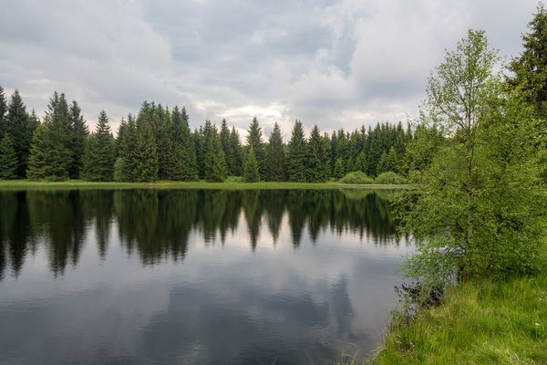 Spiegelung im See