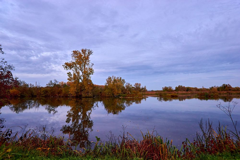 Spiegelung im See