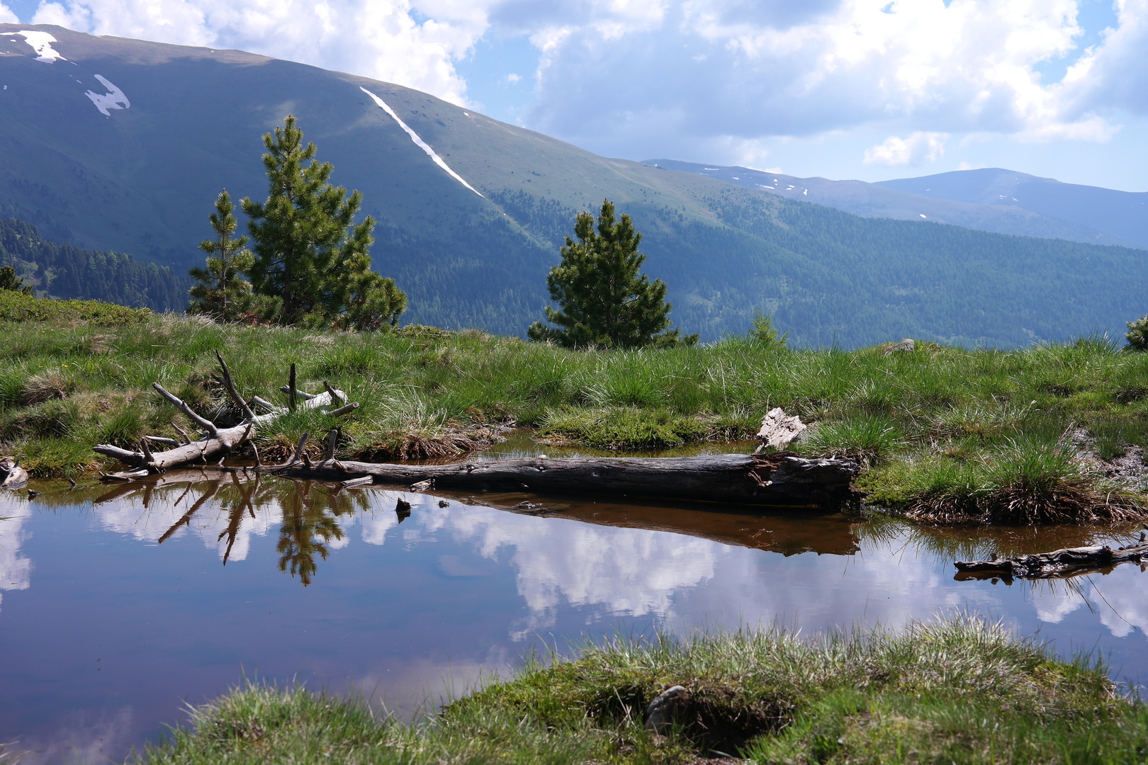 Spiegelung im See