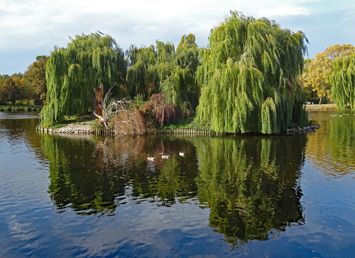 Spiegelung im See