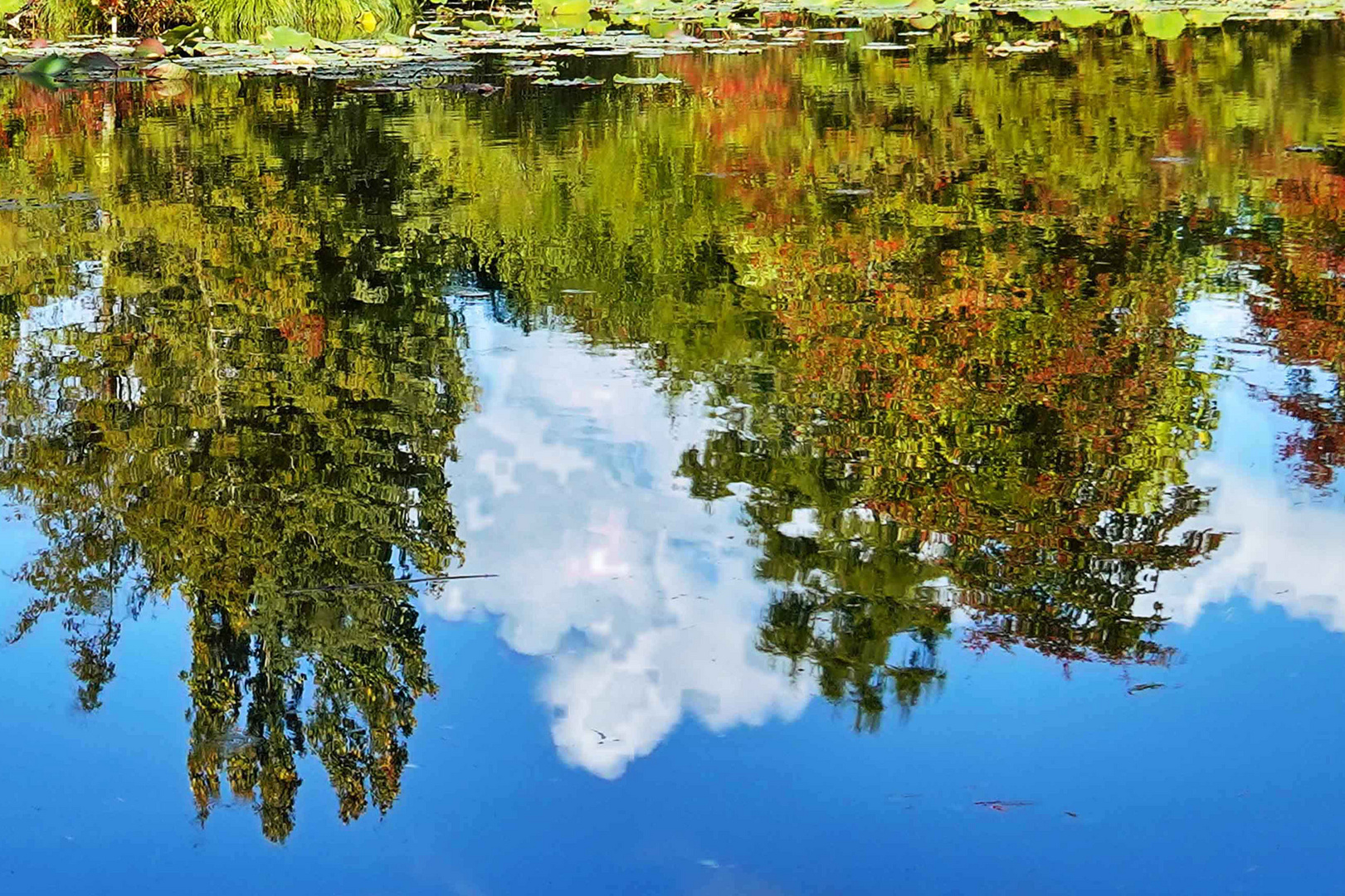 Spiegelung im See