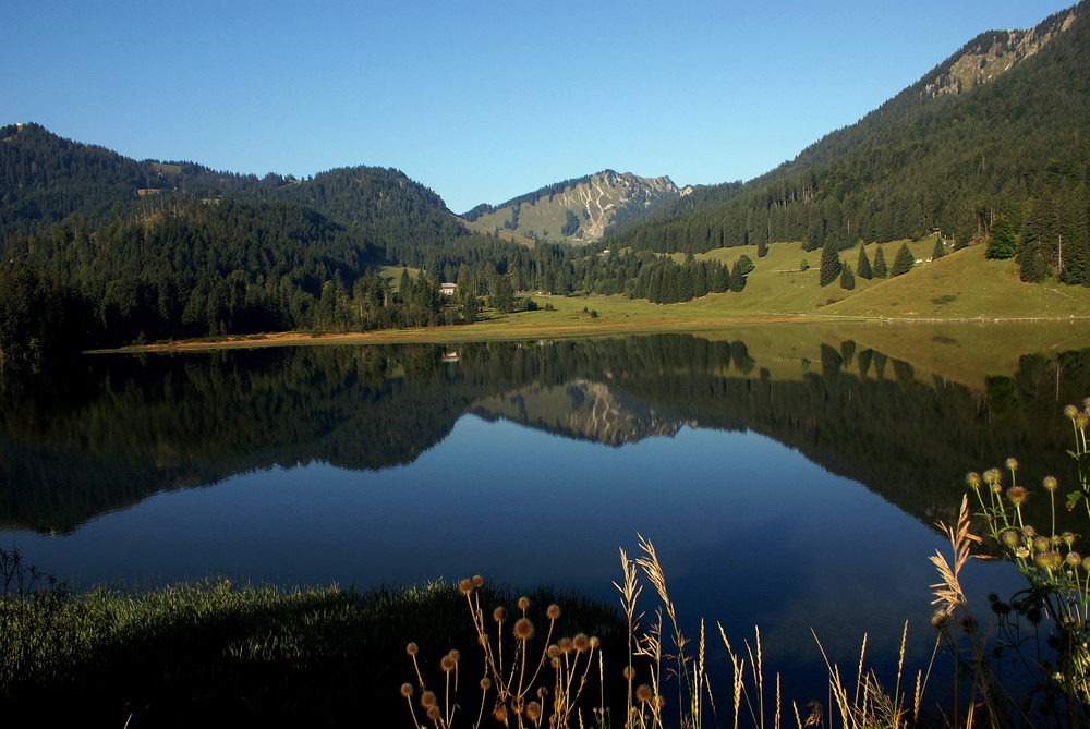 Spiegelung im See am Spitzingsee in Bayern