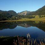 Spiegelung im See am Spitzingsee in Bayern