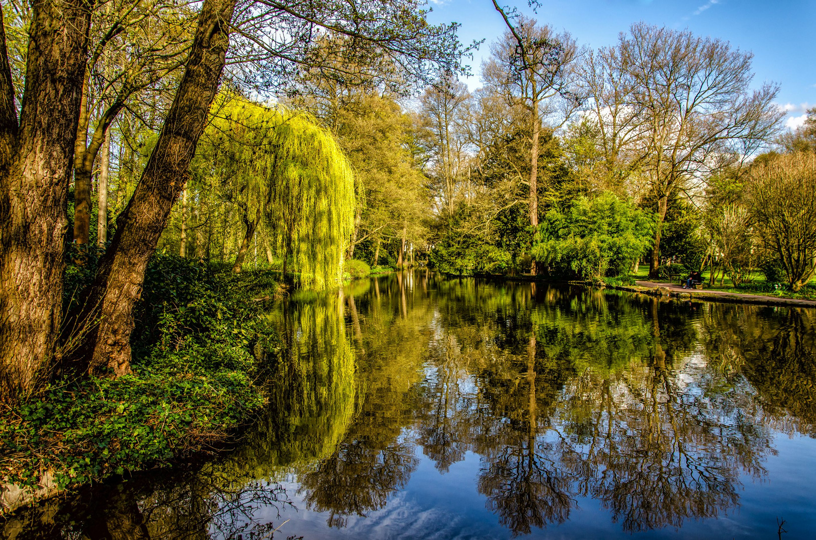 Spiegelung im See