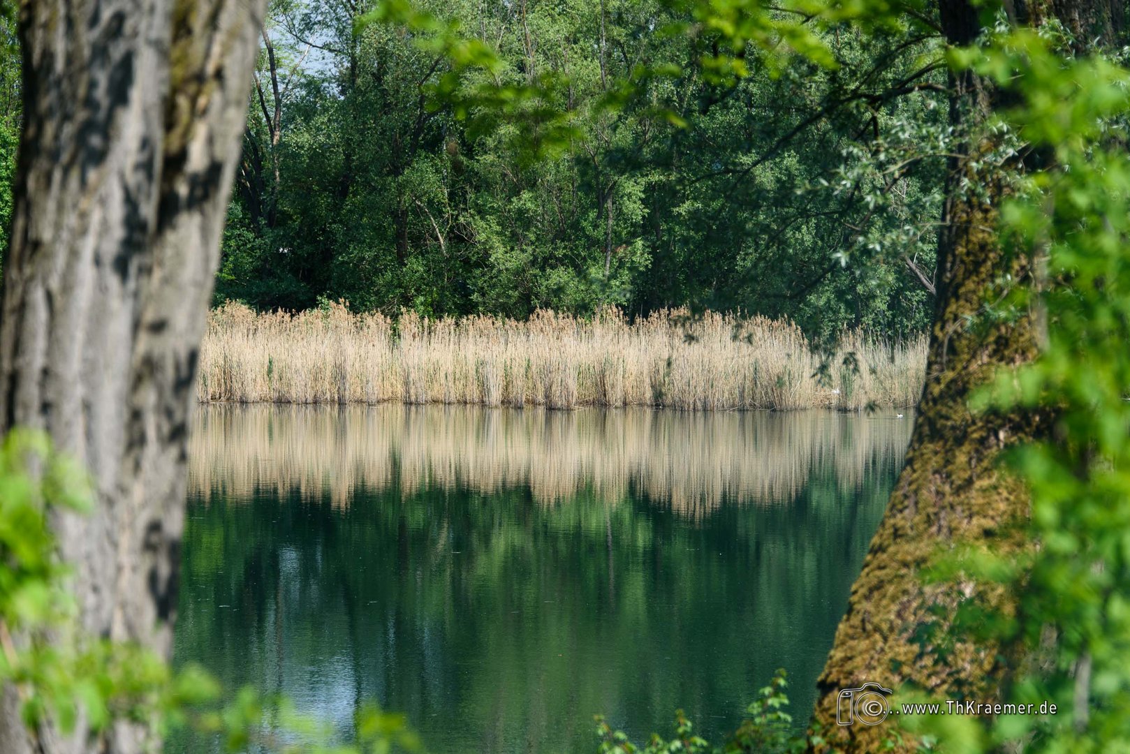 Spiegelung im See D75_5586-2