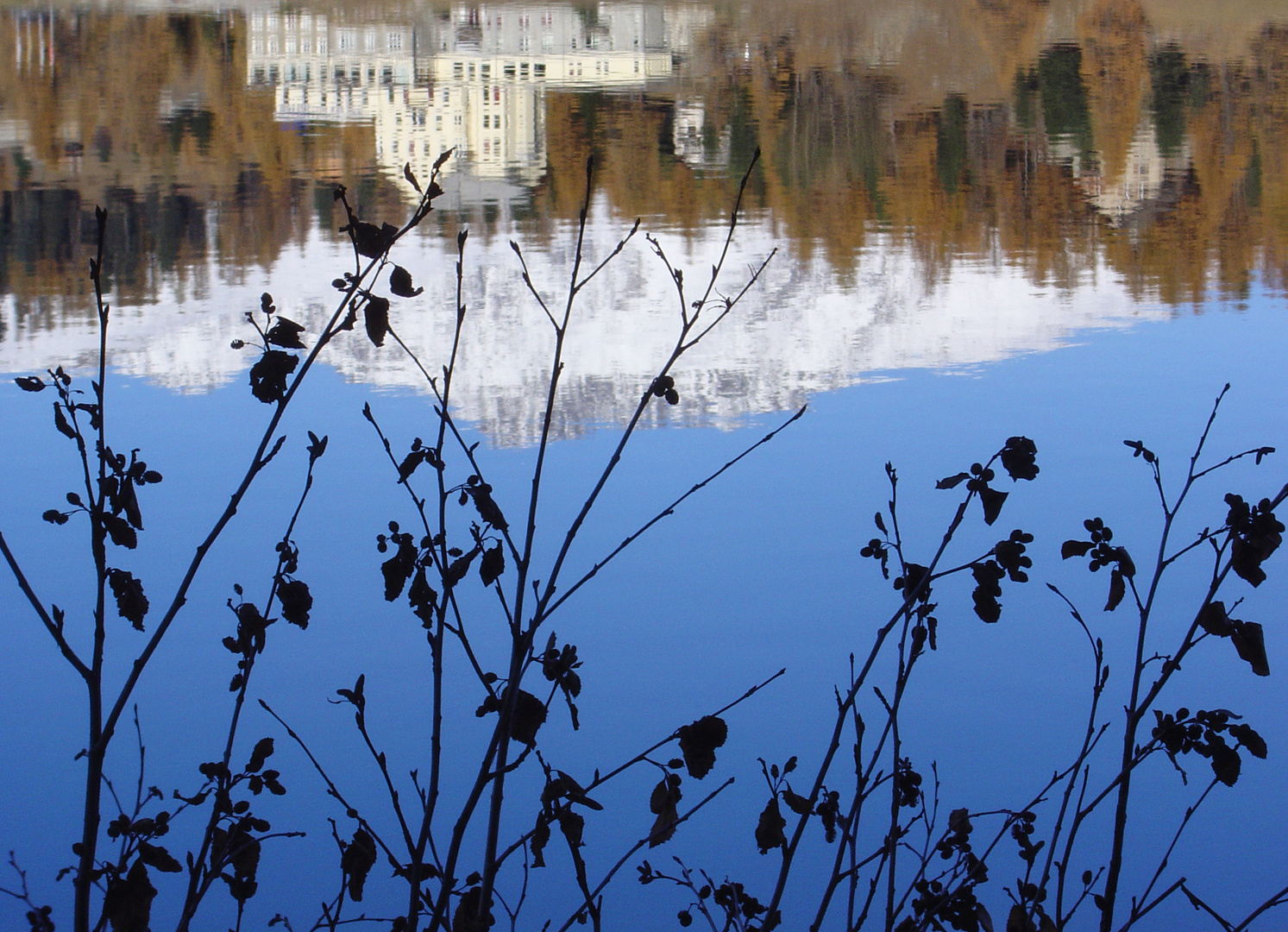 Spiegelung im See