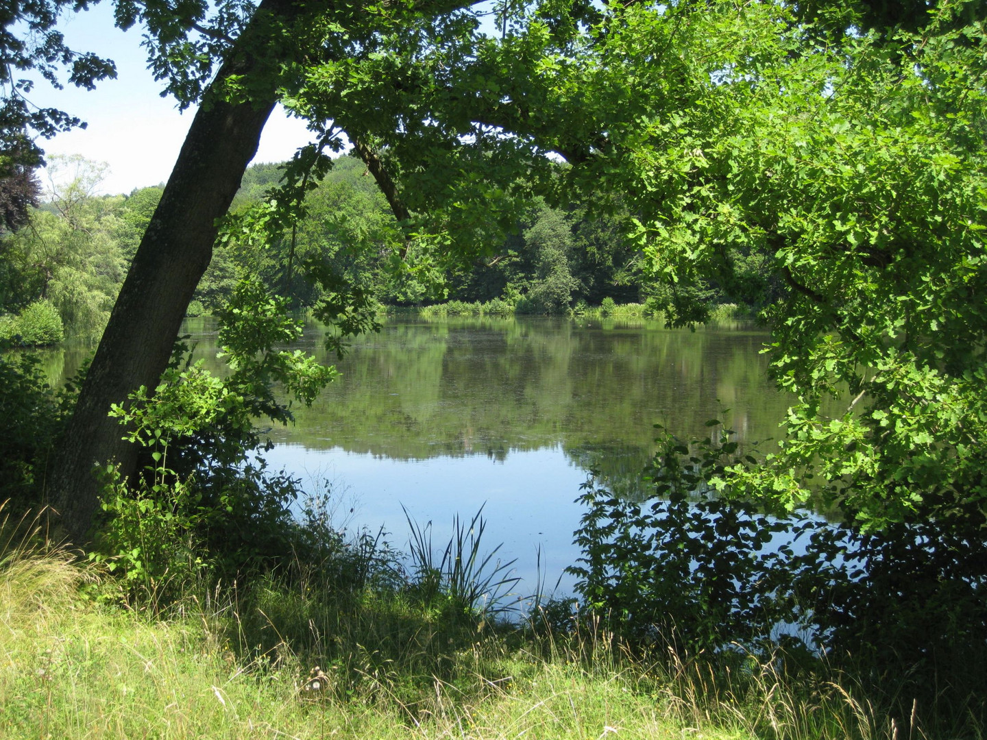 Spiegelung im See des Greizer Parks