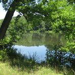 Spiegelung im See des Greizer Parks