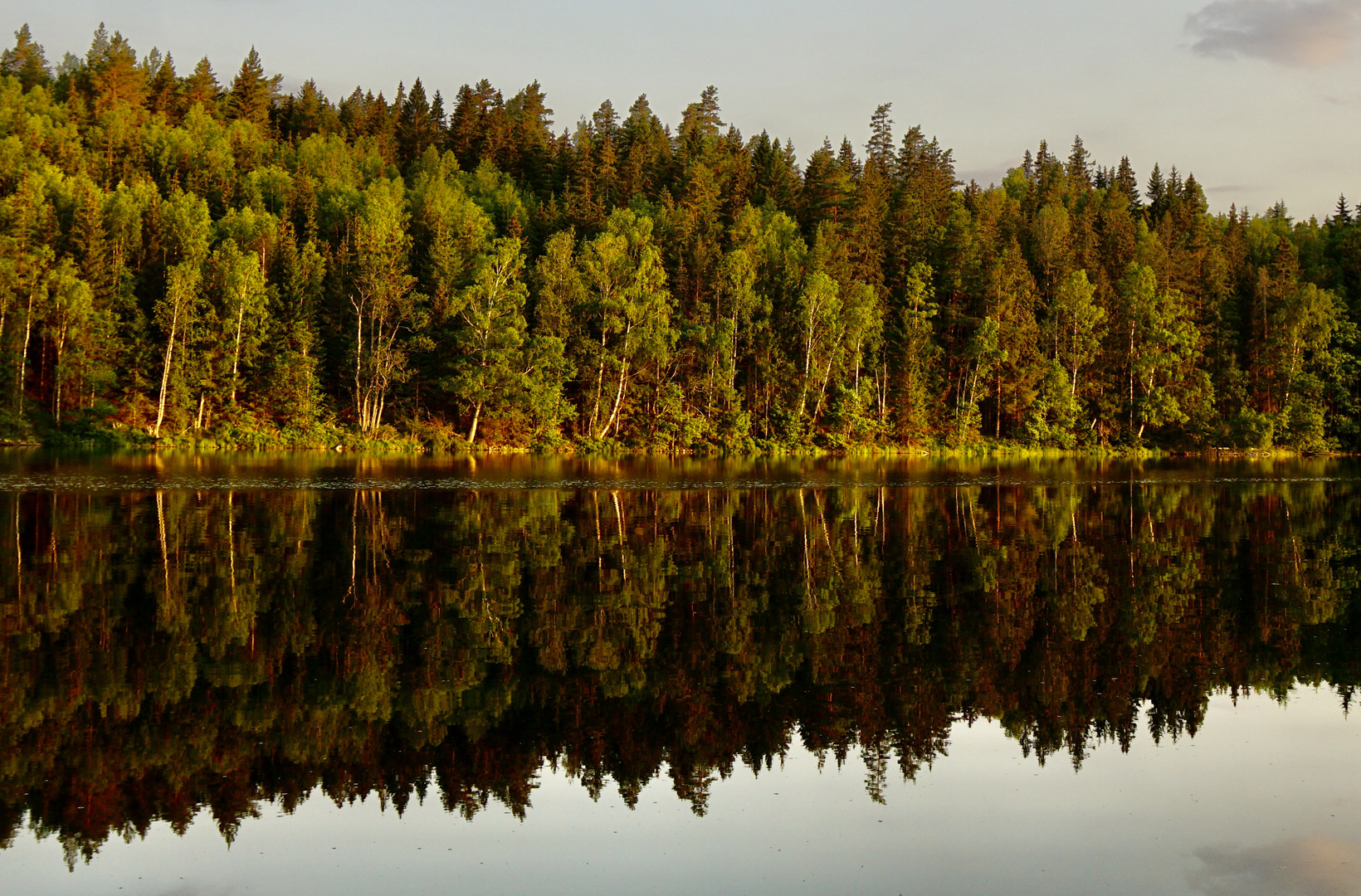 Spiegelung im See