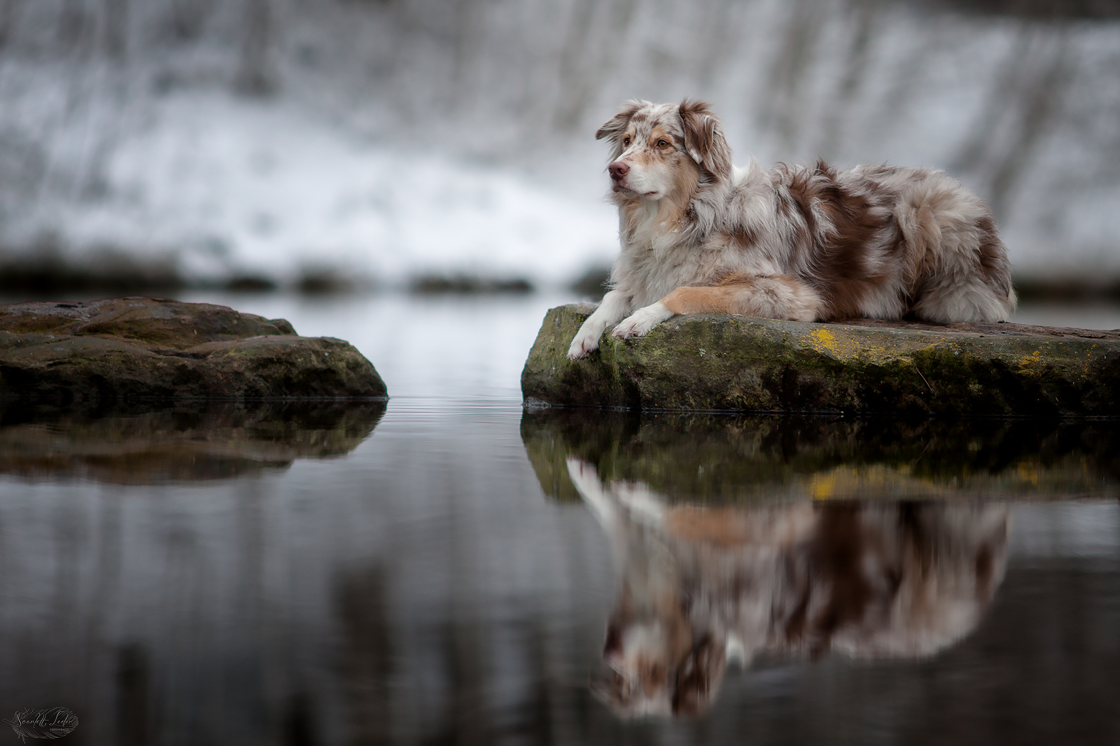 Spiegelung im See