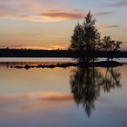 Spiegelung im See - Värnamo/Schweden - Näsudden Badeplatz