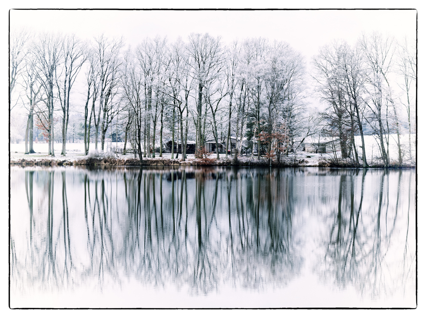 Spiegelung im See - Winter