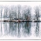 Spiegelung im See - Winter