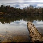 Spiegelung im Silbersee