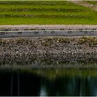 Spiegelung im Speichersee 2