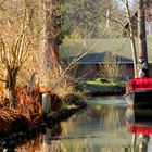 Spiegelung im Spreewald