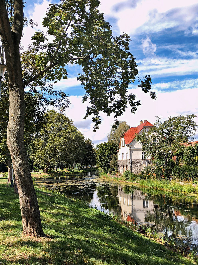 Spiegelung im Stadtgraben Delitzsch 