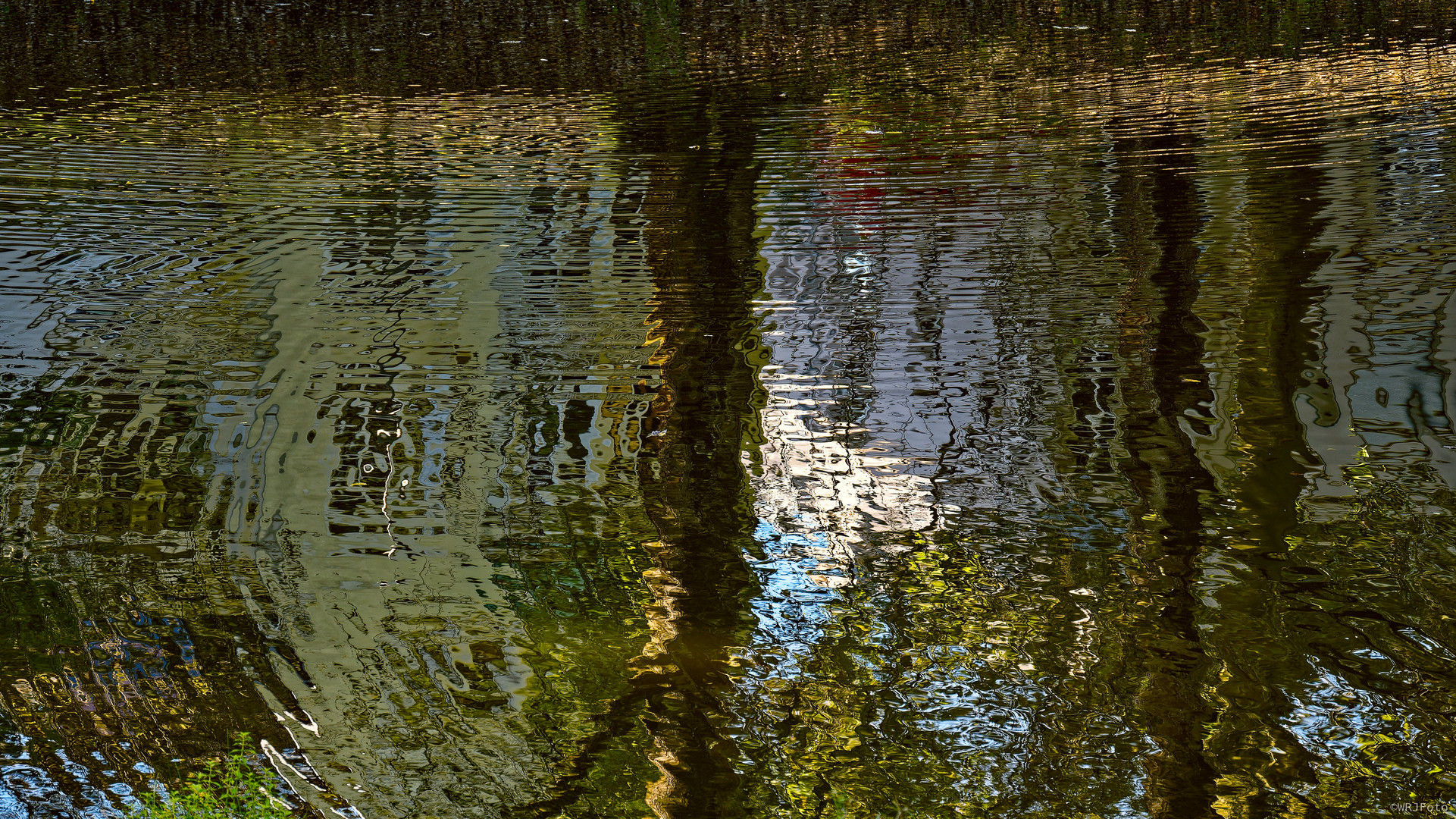 Spiegelung im Stadtpark