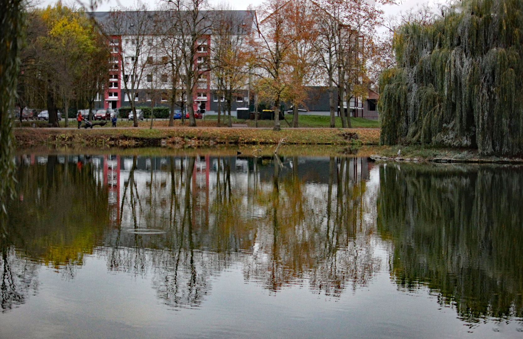 Spiegelung im Stadtsee