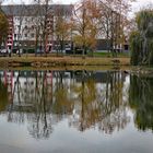 Spiegelung im Stadtsee