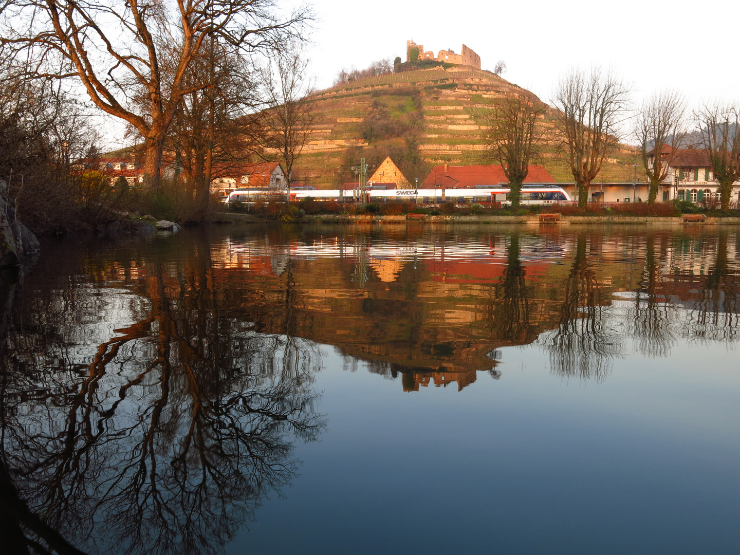 Spiegelung im Stadtsee