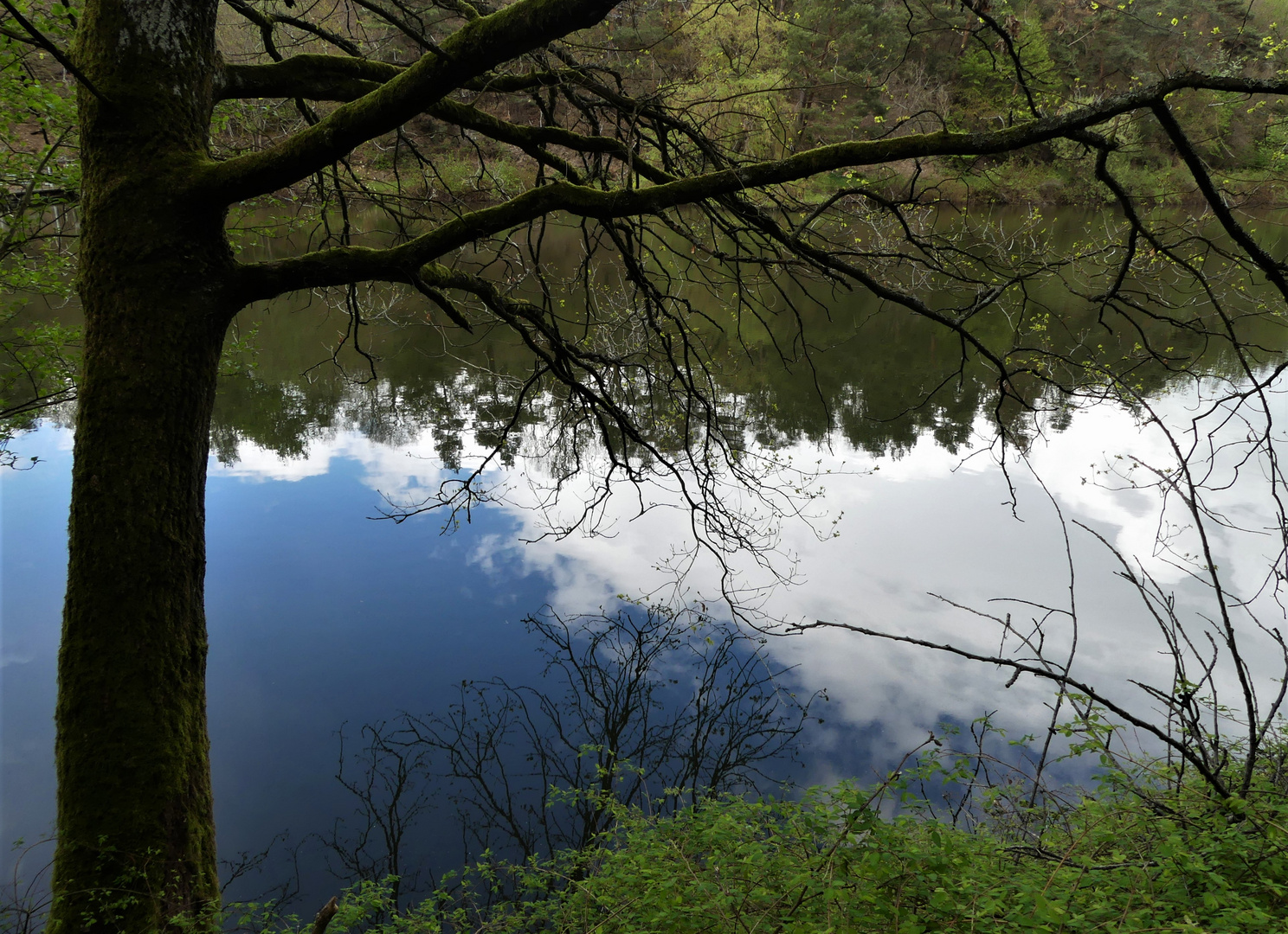 Spiegelung im Stausee