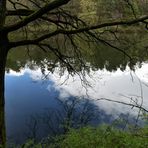 Spiegelung im Stausee