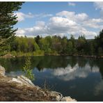 Spiegelung im Steinbruchsee