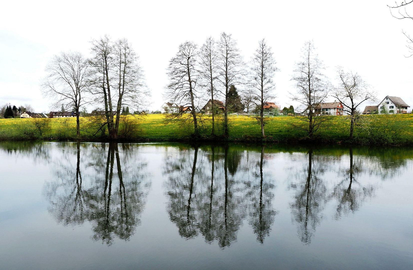 Spiegelung im Sternensee