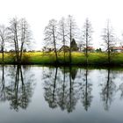 Spiegelung im Sternensee