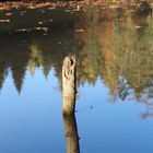 Spiegelung im Taubensee