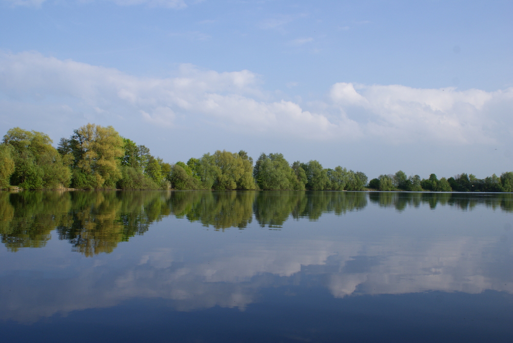 Spiegelung im Teich