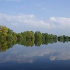 Spiegelung im Teich