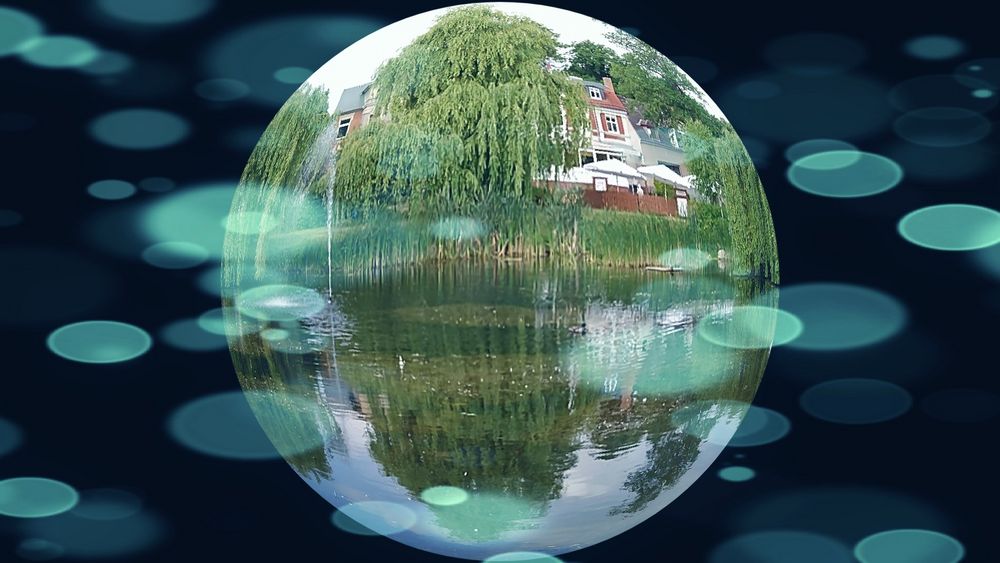 Spiegelung im Teich Foto & Bild experimente, gespiegelt, bearbeitungs