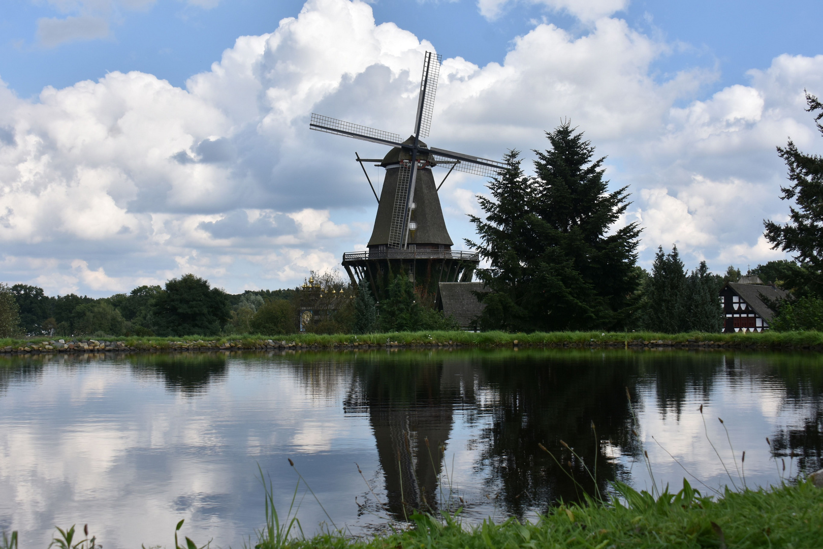 Spiegelung Im Teich