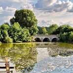 Spiegelung im Teich