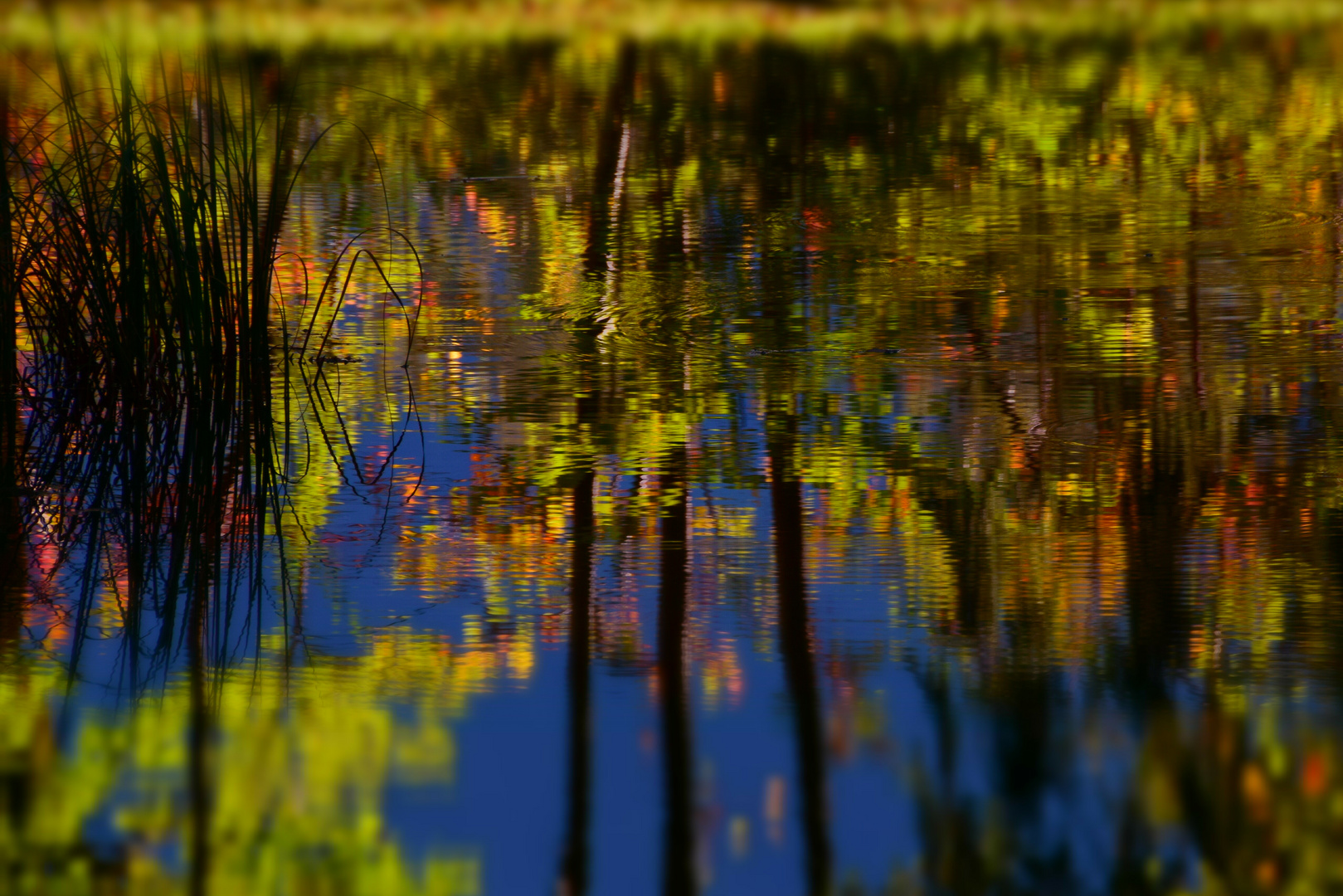 Spiegelung im Teich 2