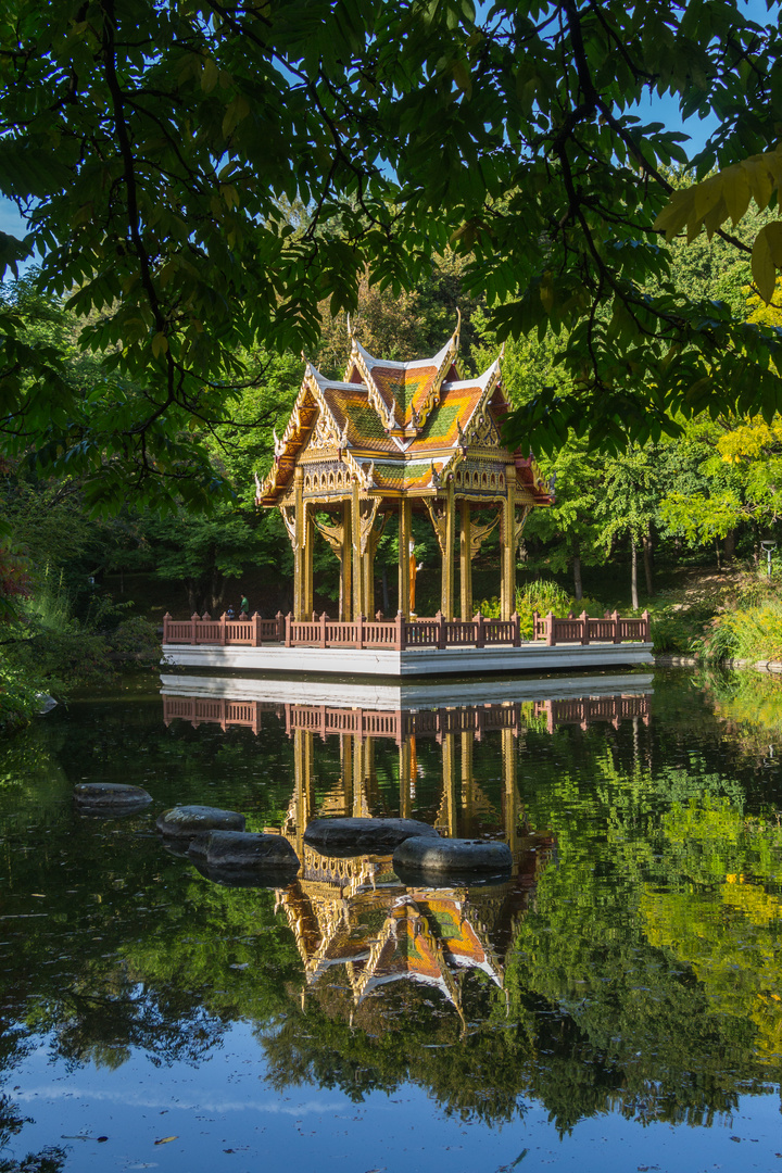 Spiegelung im Teich