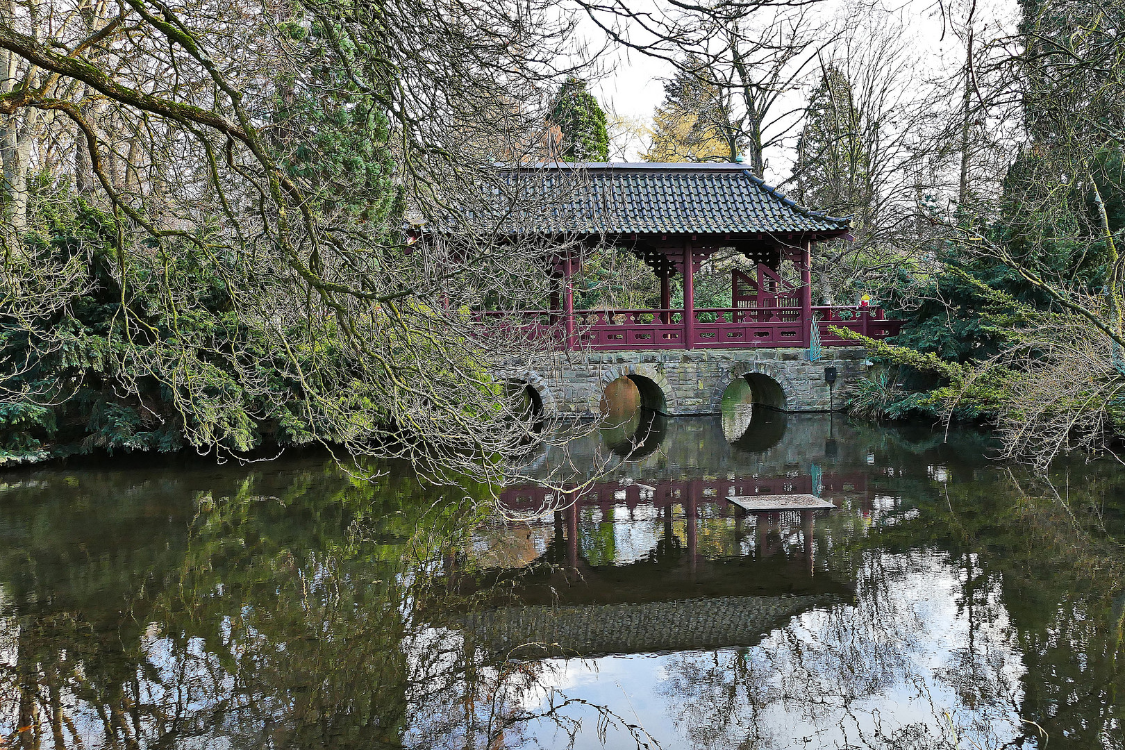 Spiegelung im Teich