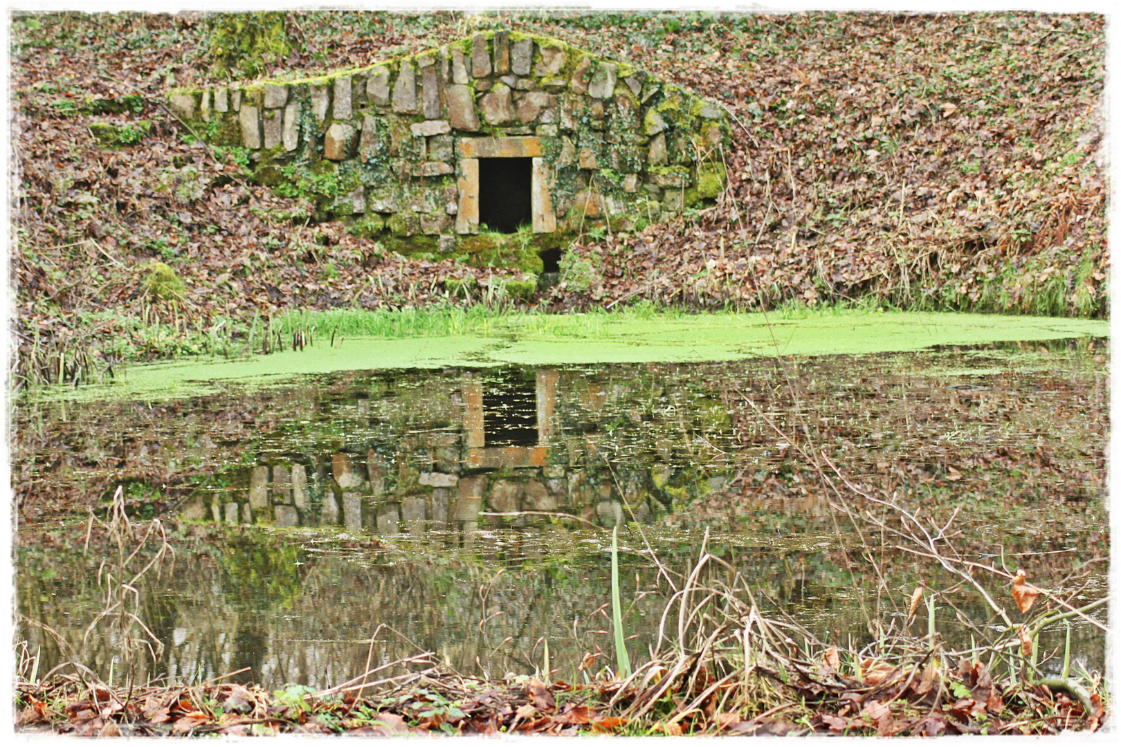 Spiegelung im Teich