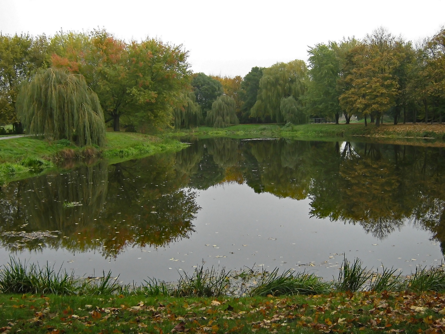 Spiegelung im Teich Foto & Bild natur, landschaft, projekte Bilder